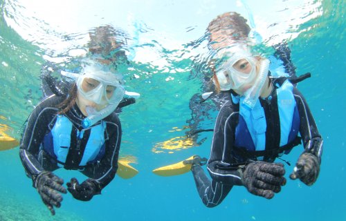 沖縄 アクティビティ プズマリダイバーズの【ボートツアー】青の洞窟シュノーケリング＋熱帯魚餌付け体験(ボートで楽楽。クルージング)