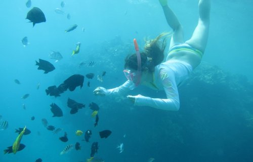 沖縄 アクティビティ Cosmic OceanのSUP/スタンドアップパドルボード＋シュノーケリングプラン